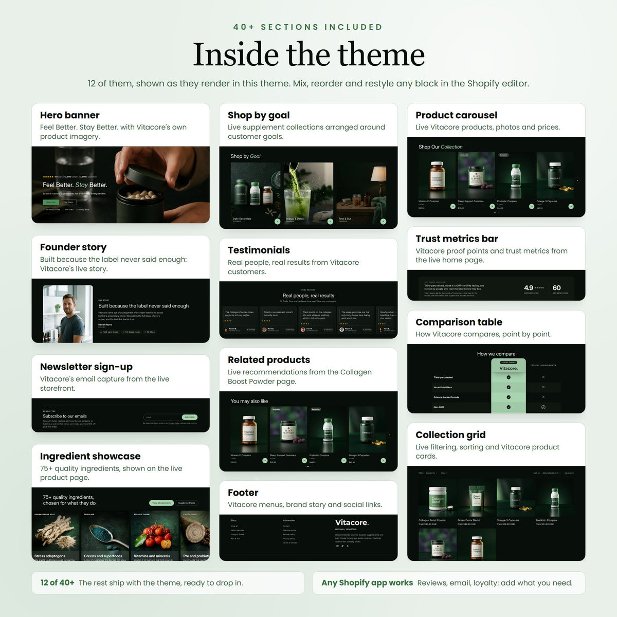 Vitacore Shopify theme - slide 6